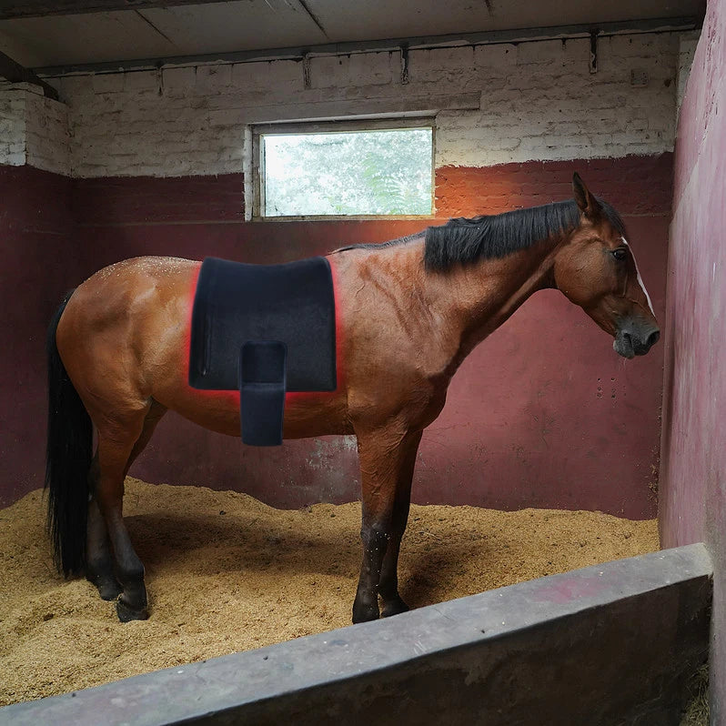 660/850nm Flexible Back Led Red Light Infrared Therapy Pad Waist Belt for Horse Pain Relief